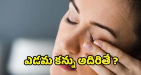 Eye Twitching Astrology: ఎడమ కన్ను అదిరితే శుభమా ? అశుభమా ?