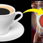 Coffee: కాఫీ ఎక్కువగా తాగితే  కిడ్నీలు పాడవుతాయా ?