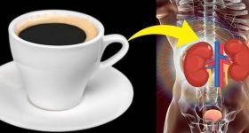 Coffee: కాఫీ ఎక్కువగా తాగితే  కిడ్నీలు పాడవుతాయా ?