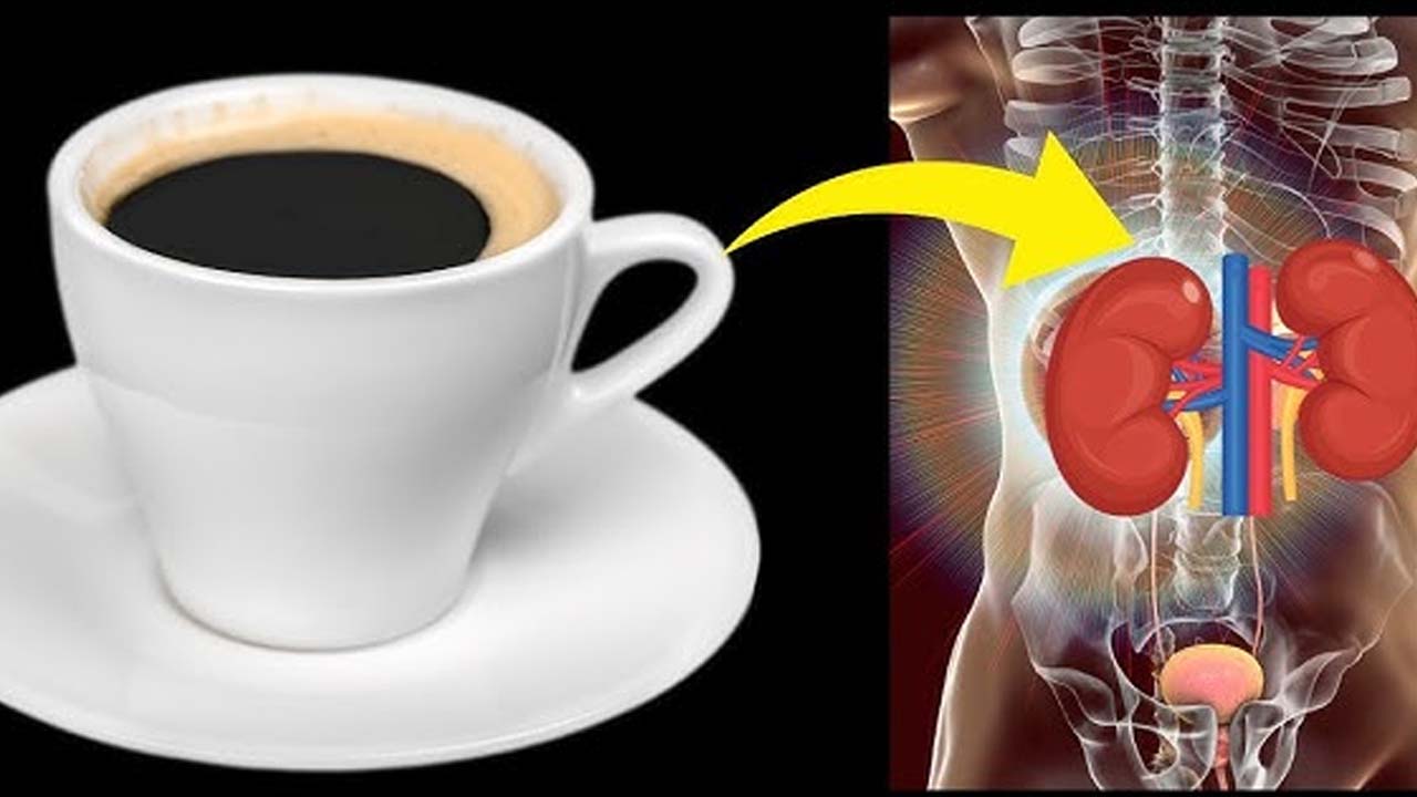 Coffee: కాఫీ ఎక్కువగా తాగితే  కిడ్నీలు పాడవుతాయా ?