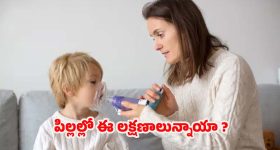 Mermaids Existence: జల కన్యలు నిజంగానే ఉంటారా? సైన్స్‌ ఏం చెబుతోందంటే..