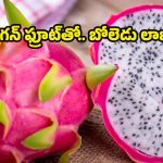 Dragon Fruit : డ్రాగన్ ఫ్రూట్ తినకపోతే.. ఈ బెనిఫిట్స్ మిస్సవుతారు !