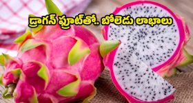 Dragon Fruit : డ్రాగన్ ఫ్రూట్ తినకపోతే.. ఈ బెనిఫిట్స్ మిస్సవుతారు !