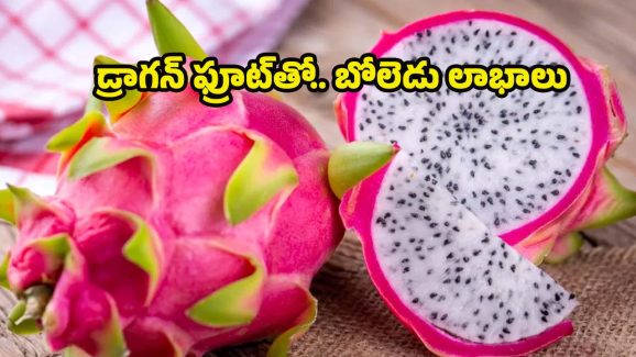 Dragon Fruit : డ్రాగన్ ఫ్రూట్ తినకపోతే.. ఈ బెనిఫిట్స్ మిస్సవుతారు !