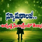  Numerology: న్యూమరాలజీ ప్రకారం మీ పుట్టిన తేదీకి సరిపోయే అదృష్ట సంఖ్యలేవో తెలుసా..?