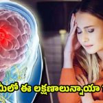Brain Tumor: తరచూ తలనొప్పితో పాటు ఈ లక్షణాలు మీలో ఉన్నాయా ? అయితే జాగ్రత్త