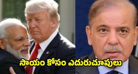 HouseManager Job: ఇంటి పని చేసే ఉద్యోగం.. జీతం రూ.83 లక్షలు.. ఎగబడుతున్న జనం