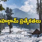 About Pahalgam: భూలోక స్వర్గం పహల్గామ్.. చూడటానికి రెండు కళ్లు సరిపోవు !