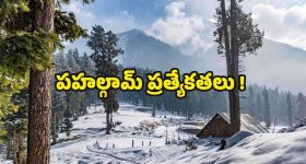 About Pahalgam: భూలోక స్వర్గం పహల్గామ్.. చూడటానికి రెండు కళ్లు సరిపోవు !