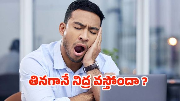 Sleepy After Eating: తినగానే నిద్ర వస్తోందా ? కారణాలివే !