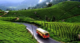 Hill Stations: ఊటీ, కొడైకెనాల్ కాదు.. సమ్మర్‌లో  ట్రిప్‌కి ఈ ప్లేసెస్ బెస్ట్