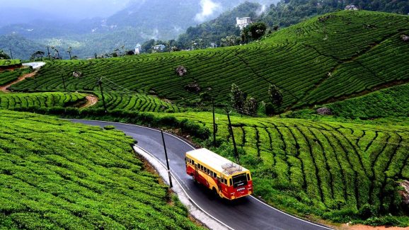 Hill Stations: ఊటీ, కొడైకెనాల్ కాదు.. సమ్మర్‌లో  ట్రిప్‌కి ఈ ప్లేసెస్ బెస్ట్