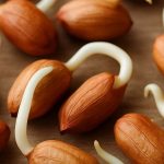 Sprouted Peanuts: మొలకెత్తిన వేరుశనగ తింటే.. ఆశ్చర్యకర లాభాలు !