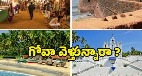 Goa Tour: బ్యాచిలర్స్ మాత్రమే కాదు.. గోవాకు ఫ్యామిలీతో వెళ్లి ఈ ప్రదేశాల్లో ఫుల్ ఎంజాయ్ చేయొచ్చు