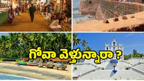 Goa Tour: బ్యాచిలర్స్ మాత్రమే కాదు.. గోవాకు ఫ్యామిలీతో వెళ్లి ఈ ప్రదేశాల్లో ఫుల్ ఎంజాయ్ చేయొచ్చు