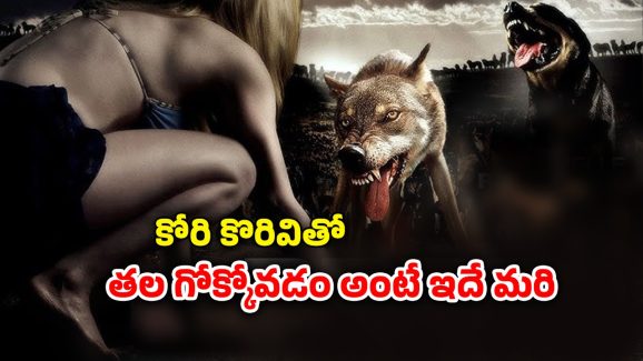 OTT Movie : మనుషుల్ని పీక్కుతినే కుక్కలతో సావాసం… అడ్వెంచర్ పేరుతో చావును కొని తెచ్చుకునే యూట్యూబర్లు