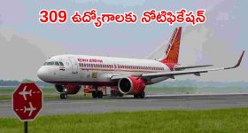 Sree Vishnu : అంతా అల్లు అర్జున్ సపోర్ట్‌తోనే... అప్పుడు చేయలేనిది ఇప్పుడు చేయగలిగా..