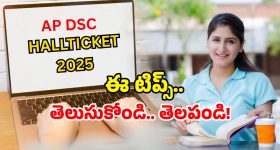 Undercover Railway Official: ఇక రైళ్లలోనూ.. అండర్ కవర్ రైల్వే అధికారులు, వీళ్లు ఏం చేస్తారో తెలుసా?