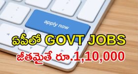 APMSRB Jobs: ఏపీలో ప్రభుత్వ ఉద్యోగాలు.. ఈ అర్హతలు ఉంటే అప్లై చేసుకోవచ్చు, జీతం రూ.1,10,000