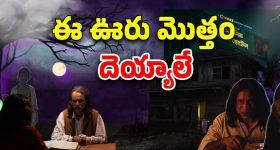 Platform Ticket: ప్లాట్ ఫారమ్ టికెట్ ఎందుకు పెట్టారు? ఇదీ అసలు కథ!