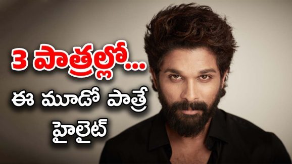 Allu Arjun Movie : డబుల్ రోల్ కాదు.. ట్రిపుల్ రోల్..? ఇండియన్ స్క్రీన్ పై చూడని విధంగా..!
