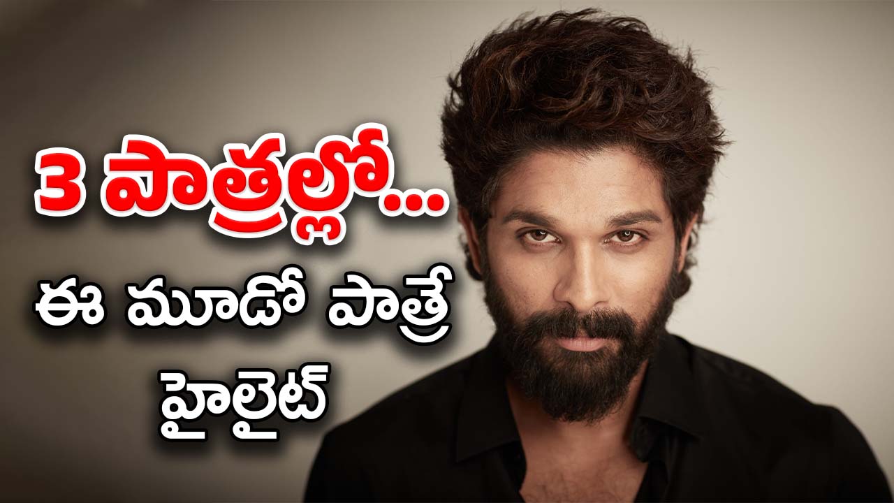 Allu Arjun Movie : డబుల్ రోల్ కాదు.. ట్రిపుల్ రోల్..? ఇండియన్ స్క్రీన్ పై చూడని విధంగా..!