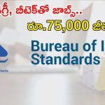 BIS Recruitment: డిగ్రీ, బీటెక్ అర్హతతో బీఐఎస్‌లో జాబ్స్, జీతం రూ.75వేలు.. 3 రోజులే ఛాన్స్