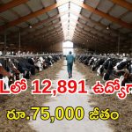 BPNL Recruitment: టెన్త్, ఇంటర్ అర్హతతో 12,891 ఉద్యోగాలు.. జీతం రూ.75,000