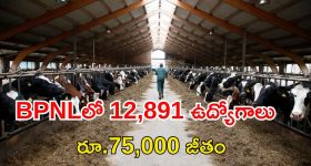 BPNL Recruitment: టెన్త్, ఇంటర్ అర్హతతో 12,891 ఉద్యోగాలు.. జీతం రూ.75,000