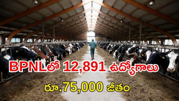 BPNL Recruitment: టెన్త్, ఇంటర్ అర్హతతో 12,891 ఉద్యోగాలు.. జీతం రూ.75,000
