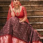 Nabha Natesh: నువ్వు రాధవైతే కృష్ణుడు ఎక్కడ? అబ్బా, నభా పిచ్చేక్కించేశావ్‌గా!