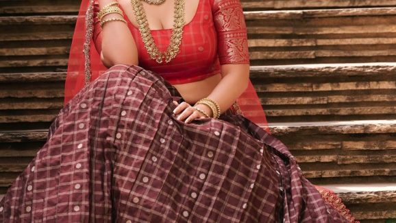 Nabha Natesh: నువ్వు రాధవైతే కృష్ణుడు ఎక్కడ? అబ్బా, నభా పిచ్చేక్కించేశావ్‌గా!