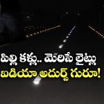 Cat’s Eyes: రాత్రి వేళ రోడ్డుపై మెరిసే ఈ లైట్లు కరెంటు లేకుండా ఎలా పనిచేస్తాయో తెలుసా?