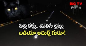 Cat’s Eyes: రాత్రి వేళ రోడ్డుపై మెరిసే ఈ లైట్లు కరెంటు లేకుండా ఎలా పనిచేస్తాయో తెలుసా?