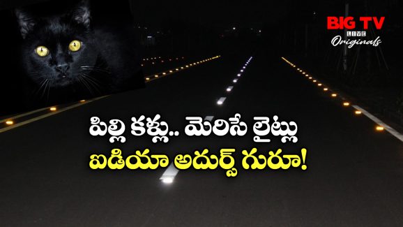 Cat’s Eyes: రాత్రి వేళ రోడ్డుపై మెరిసే ఈ లైట్లు కరెంటు లేకుండా ఎలా పనిచేస్తాయో తెలుసా?