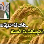 MSP For Kharif Crops: వరి మద్దతు ధర పెంచిన కేంద్రం, క్వింటాల్ కు ఎంత పెరిగిందంటే?