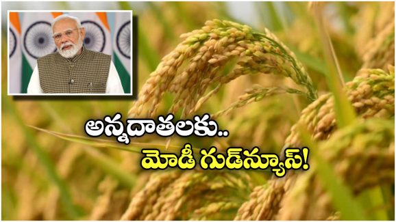 MSP For Kharif Crops: వరి మద్దతు ధర పెంచిన కేంద్రం, క్వింటాల్ కు ఎంత పెరిగిందంటే?