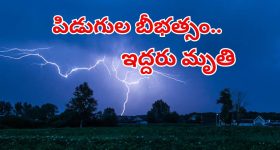 SBI Jobs: SBIలో భారీగా జాబ్స్.. రెండు తెలుగు రాష్ట్రాల్లో కూడా ఖాళీలు.. డోంట్ మిస్