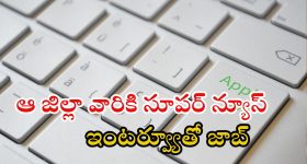 DMHO Jobs: ఆ జిల్లా వారికి అద్భుత అవకాశం.. శాలరీ రూ.52,000.. ఇంటర్వ్యూకి వెళ్తే చాలు