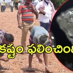 kurnool Diamond: పొలంలో అరుదైన వజ్రం.. కర్నూలు రైతు పంట పండింది.. రికార్డు స్థాయిలో