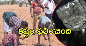 kurnool Diamond: పొలంలో అరుదైన వజ్రం.. కర్నూలు రైతు పంట పండింది.. రికార్డు స్థాయిలో