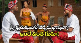 CM Chandrababu: మహిళలకు బాబు సర్కార్ గుడ్ న్యూస్.. ఫ్రీ బస్సు డేట్ ఫిక్స్