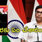 Indo-Pak War: ఇబ్బందుల్లో విక్రమ్‌ మిస్రీ, ఆయన కూతురు, ఎందుకు టార్గెట్ అయ్యారు?