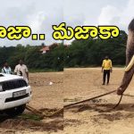 Viral Video: బాహుబలి ‘ఏనుగు’ తుపాన్.. ఆపై టయోటా ఫార్చ్యూనర్ కారు, అసలు మేటరేంటి?