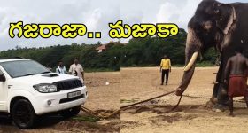 Dushara Vijayan : కిల్లింగ్ లుక్ లో దుషారా విజయన్.. మైండ్ బ్లాక్ అవ్వాల్సిందే..