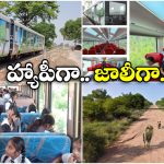 Jungle Safari Train India:  విస్టాడోమ్ రైల్లో సఫారీ జర్నీ.. ఎంజాయ్ చేద్దాం పదండి బ్రో!