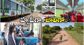 Jungle Safari Train India:  విస్టాడోమ్ రైల్లో సఫారీ జర్నీ.. ఎంజాయ్ చేద్దాం పదండి బ్రో!