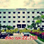 GMC Recruitment: ఆ జిల్లాలో భారీగా జాబ్స్.. పది పాసైతే చాలు, జీతం రూ.22,750