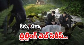 OTT Movie : వింత జంతువులుగా మారే మనుషులు... ఆ ఒక్కడికే ఎందుకు కనిపిస్తున్నారు?