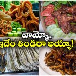 Bizarre Food Items: ప్రపంచంలో అత్యంత రోత పుట్టించే ఫుడ్స్, చూస్తే యాక్ అనాల్సిందే!